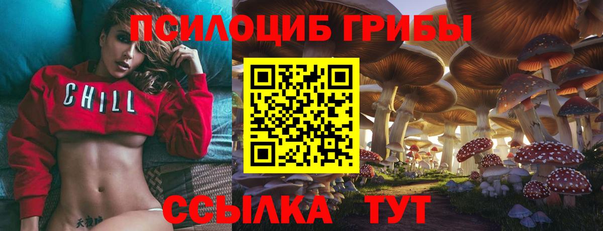 Псилоцибиновые грибы Psilocybine cubensis  Вход с VPN  Сочи  Галлюциногенные грибы мухоморы 