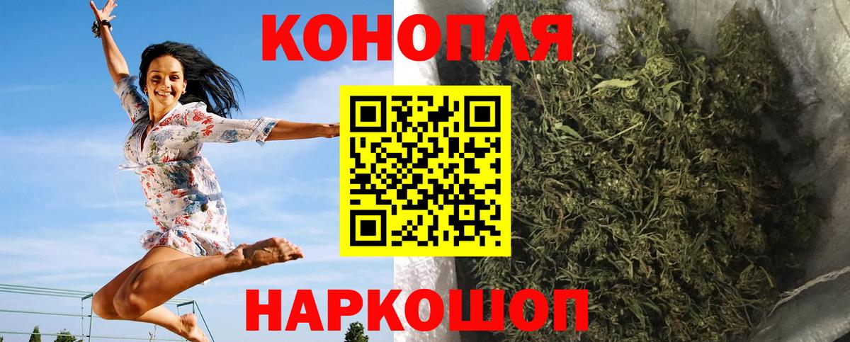 Каннабис сатива Сочи